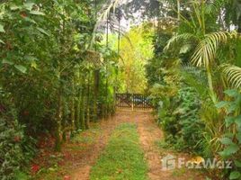  Terreno for sale in Ubatuba, São Paulo, Ubatuba, Ubatuba