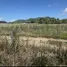  Land for sale in Mai Khao, Phuket, Mai Khao