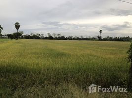  Terrain for sale in Chai Nat, Pho Ngam, Sankhaburi, Chai Nat
