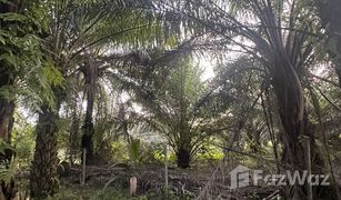 N/A Land for sale in Thung Krabue, Trang 