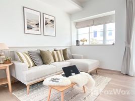 บ้านเดี่ยว 3 ห้องนอน ให้เช่า ในโครงการ อินดี้ 2 บางนา-รามคำแหง 2, ดอกไม้, ประเวศ