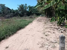 ขายที่ดิน ใน วังน้ำคู้, พิษณุโลก, วังน้ำคู้, เมืองพิษณุโลก