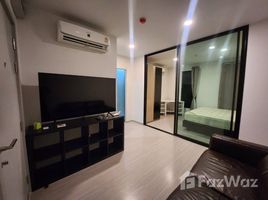 อพาร์ทเม้นท์ 1 ห้องนอน ให้เช่า ในโครงการ แอสปาย อโศก-รัชดา , ดินแดง, ดินแดง, กรุงเทพมหานคร