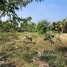  Land for sale in Nong Phak Nak, Suphan Buri, Nong Phak Nak