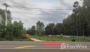 N/A Grundstück zu verkaufen in Nong Teng, Buri Ram 