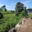  Land for sale in Bali, Tabanan, Bali