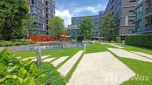 写真 3 of the Communal Garden Area at Atmoz Ladprao 71