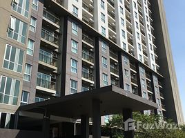 The Parkland Srinakarin Lakeside で賃貸用の 1 ベッドルーム アパート, Samrong Nuea, ミューアン・サムット・プラカン, サムット・プラカン