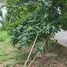  Terreno (Parcela) en venta en Parkridge estate , Antipolo City