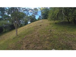  Terrain for sale in Puntarenas, Osa, Puntarenas