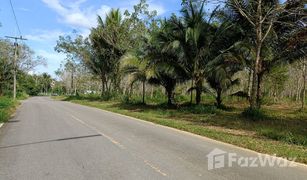N/A Land for sale in Thai Mueang, Phangnga 