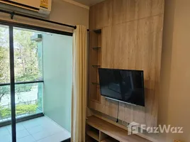 คอนโด 1 ห้องนอน ให้เช่า ในโครงการ ลุมพินี พาร์คบีช ชะอำ, ชะอำ, ชะอำ, เพชรบุรี