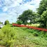  Land for sale in Mueang Phayao Phayao, Mae Puem, Mueang Phayao, Phayao