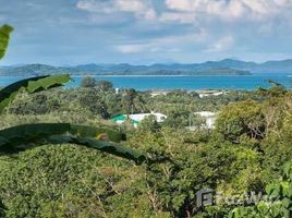N/A Land for sale in Pa Khlok, Phuket Yamu Hills - hillside 3.42 Rai Sea View Plot in Managed Estate