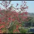  Terreno (Parcela) en venta en Parkridge estate , Antipolo City, Rizal