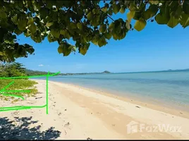 ขายที่ดิน ใน ตลิ่งงาม, สุราษฎร์ธานี, ตลิ่งงาม