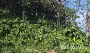 N/A Land for sale in Kamala, Phuket 