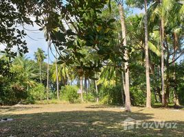  Grundstück zu verkaufen in Koh Samui, Surat Thani, Ang Thong