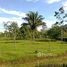 N/A Land for sale in , Limon Siquirris, Limón, Address available on request
