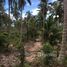 N/A Land for sale in Maenam, Koh Samui Land For Sale Closed To Santiburi Country Club