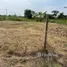  Land for sale in Saraburi, Nong No, Mueang Saraburi, Saraburi