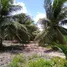  Terrain for sale in Amazonas, Humaita, Amazonas