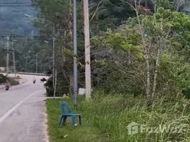  Land for sale in Koh Phangan, Surat Thani, Koh Phangan, Koh Phangan, Surat Thani, Thailand