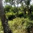  Grundstück zu verkaufen in Selong Belanak, Lombok, Selong Belanak, Lombok Tengah