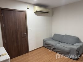 อพาร์ทเม้นท์ 1 ห้องนอน ให้เช่า ในโครงการ เดอะ เบส สุขุมวิท 77, พระโขนงเหนือ, วัฒนา, กรุงเทพมหานคร, ไทย