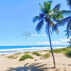 Local comercial en Cabarete, foto 3