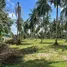  Grundstück zu verkaufen in Koh Samui, Surat Thani, Na Mueang