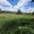  Land for sale in Don Kaeo, Chiang Mai, Don Kaeo, Saraphi, Chiang Mai, Thailand