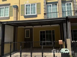 ทาวน์เฮ้าส์ 4 ห้องนอน ให้เช่า ในโครงการ โกลเด้น ทาวน์ ติวานนท์-แจ้งวัฒนะ, บ้านใหม่, เมืองปทุมธานี, ปทุมธานี