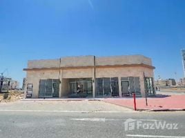  Земельный участок for sale in FazWaz.ru, Al Alia, Ajman, Объединённые Арабские Эмираты