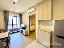 1 Schlafzimmer Wohnung zu vermieten im NIA By Sansiri, Phra Khanong Nuea, Watthana, Bangkok, Thailand