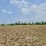  Land for sale in Mueang Chiang Rai Chiang Rai, Huai Sak, Mueang Chiang Rai, Chiang Rai, Thailand