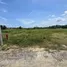  Terreno (Parcela) en venta en Sakhu, Phuket, Sakhu, Thalang, Phuket, Tailandia