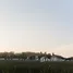  Land for sale in Pran Buri Prachuap Khiri Khan, Wang Phong, Pran Buri, Prachuap Khiri Khan