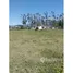  Terreno (Parcela) en venta en Cotacachi, Garcia Moreno (Llurimagua), Cotacachi, Imbabura