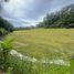  Terrain for sale in Amazonas, Rio Preto Da Eva, Amazonas