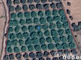  المالك for sale in Marrakech - Tensift - Al Haouz, NA (Ait Ourir), Al Haouz, Marrakech - Tensift - Al Haouz