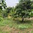  Land for sale in Nakhon Pathom, Don Yai Hom, Mueang Nakhon Pathom, Nakhon Pathom