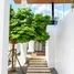 3 Bedroom Villa for sale in Chalong, Phuket, Chalong