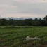 Земельный участок for sale in Wang Sai, Накхон Ратчасима, Wang Sai