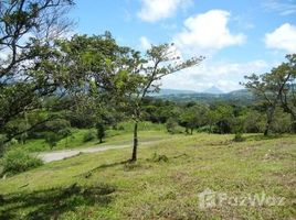 N/A Terreno (Parcela) en venta en , Alajuela Lake and Volcano Arenal view lots, ready for construction: BARGAIN ! great views, great value, small, San Luis, Guanacaste