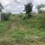  Land for sale in Nong Chok, Bangkok, Khok Faet, Nong Chok