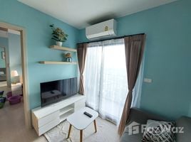 1 Bedroom Apartment for rent at Nue Noble Srinakarin - Lasalle, Samrong Nuea, Mueang Samut Prakan, Samut Prakan