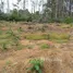  Terrain for sale in Amazonas, Presidente Figueiredo, Amazonas