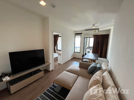 U Delight Residence Riverfront Rama 3 で賃貸用の 1 ベッドルーム マンション, バンポンファン