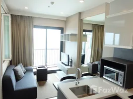 1 Bedroom Condo for rent at Wyne Sukhumvit, Phra Khanong, Khlong Toei, Bangkok, Thailand